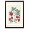 12" x 16" Sweet Summer Strawberries I Framed Wall Art, Contemporary Kitchen Home Décor, Glass Facing and Hanging Hardware Included
